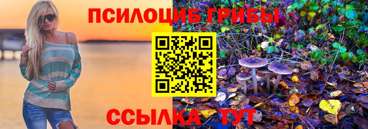 Таганрог  Псилоцибиновые грибы Psilocybine cubensis  Вход с VPN 